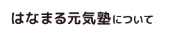 はなまる元気塾ついて